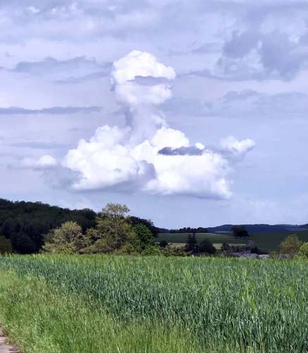 Wolkenente in der Eifel