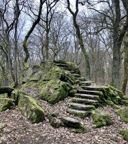 Burgenweg-Treppe