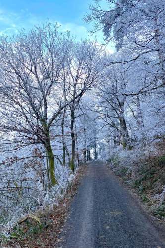 Winterlicher Weg / Joachim Rehle