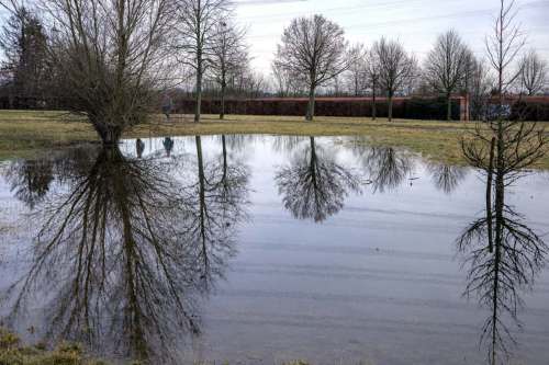 Teichspiegelung